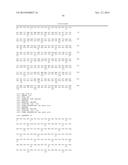 VARIANT ACTIVIN RECEPTOR POLYPEPTIDES, ALONE OR IN COMBINATION WITH     CHEMOTHERAPY, AND USES THEREOF diagram and image