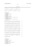 VARIANT ACTIVIN RECEPTOR POLYPEPTIDES, ALONE OR IN COMBINATION WITH     CHEMOTHERAPY, AND USES THEREOF diagram and image