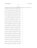 VARIANT ACTIVIN RECEPTOR POLYPEPTIDES, ALONE OR IN COMBINATION WITH     CHEMOTHERAPY, AND USES THEREOF diagram and image