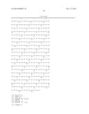 VARIANT ACTIVIN RECEPTOR POLYPEPTIDES, ALONE OR IN COMBINATION WITH     CHEMOTHERAPY, AND USES THEREOF diagram and image