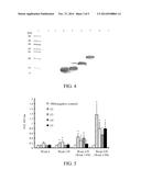 PORCINE CIRCOVIRUS TYPE-2 (PCV2) SUBUNIT VACCINE diagram and image