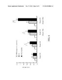 PORCINE CIRCOVIRUS TYPE-2 (PCV2) SUBUNIT VACCINE diagram and image