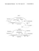 POLYMERASE DRIVEN NESA diagram and image