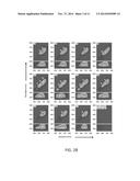 COMPOSITIONS AND METHODS FOR DETECTING NUCLEOTIDE VARIANTS diagram and image