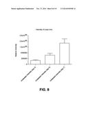 Methods for the Diagnosis and Treatment of Neurological and     Neurodegenerative Diseases, Disorders and Associated Processes diagram and image