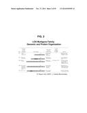 METHODS AND COMPOSITIONS FOR TREATMENT AND DIAGNOSIS OF FIBROSIS, TUMOR     INVASION, ANGIOGENESIS, AND METASTASIS diagram and image