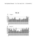 METHODS AND COMPOSITIONS FOR TREATMENT AND DIAGNOSIS OF FIBROSIS, TUMOR     INVASION, ANGIOGENESIS, AND METASTASIS diagram and image