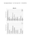 METHODS AND COMPOSITIONS FOR TREATMENT AND DIAGNOSIS OF FIBROSIS, TUMOR     INVASION, ANGIOGENESIS, AND METASTASIS diagram and image