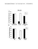 METHODS AND COMPOSITIONS FOR TREATMENT AND DIAGNOSIS OF FIBROSIS, TUMOR     INVASION, ANGIOGENESIS, AND METASTASIS diagram and image