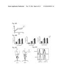 THERAPEUTIC AGENT FOR AUTOIMMUNE DISEASES OR ALLERGY, AND METHOD FOR     SCREENING FOR THE THERAPEUTIC AGENT diagram and image