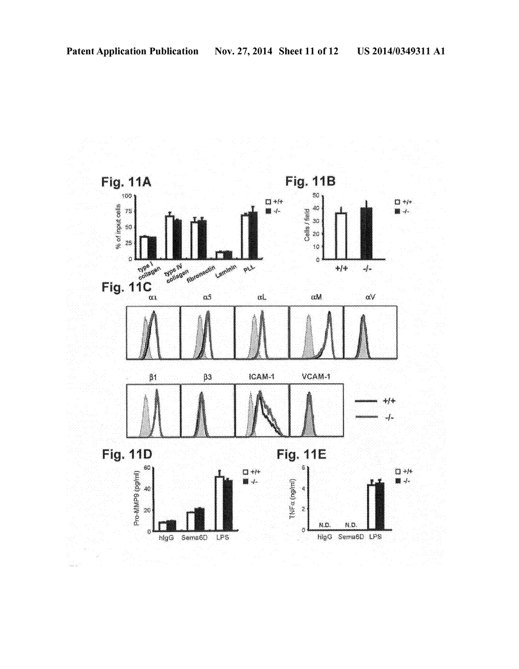 THERAPEUTIC AGENT FOR AUTOIMMUNE DISEASES OR ALLERGY, AND METHOD FOR     SCREENING FOR THE THERAPEUTIC AGENT - diagram, schematic, and image 12