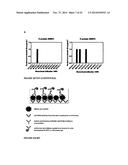 BINDING MOLECULES AGAINST DENGUE VIRUS AND USES THEREOF diagram and image