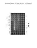 PRODUCTION OF RECOMBINANT PROTEINS WITH SIMPLE GLYCOFORMS diagram and image