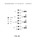 PRODUCTION OF RECOMBINANT PROTEINS WITH SIMPLE GLYCOFORMS diagram and image