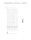 PRODUCTION OF RECOMBINANT PROTEINS WITH SIMPLE GLYCOFORMS diagram and image