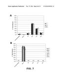 PRODUCTION OF RECOMBINANT PROTEINS WITH SIMPLE GLYCOFORMS diagram and image