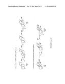 Sclareol and labdenediol diphosphate synthase polypeptides, encoding     nucleic acid molecules and uses thereof diagram and image