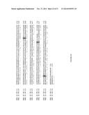 Sclareol and labdenediol diphosphate synthase polypeptides, encoding     nucleic acid molecules and uses thereof diagram and image