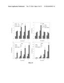 Hydrolytically Degradable Micellar Hydrogels diagram and image