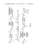 POTENT NON-UREA INHIBITORS OF SOLUBLE EPOXIDE HYDROLASE diagram and image