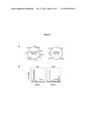 ENDOTHELIAL CELL PRODUCTION BY PROGRAMMING diagram and image