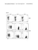 ENDOTHELIAL CELL PRODUCTION BY PROGRAMMING diagram and image