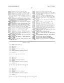 ENDOTHELIAL CELL PRODUCTION BY PROGRAMMING diagram and image