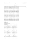 ENDOTHELIAL CELL PRODUCTION BY PROGRAMMING diagram and image