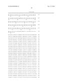 ENDOTHELIAL CELL PRODUCTION BY PROGRAMMING diagram and image