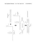 Programmable Modification of DNA diagram and image