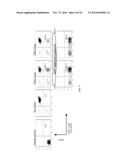 CAR+ T CELLS GENETICALLY MODIFIED TO ELIMINATE EXPRESSION OF T-CELL     RECEPTOR AND/OR HLA diagram and image