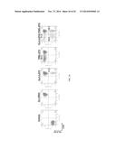 CAR+ T CELLS GENETICALLY MODIFIED TO ELIMINATE EXPRESSION OF T-CELL     RECEPTOR AND/OR HLA diagram and image