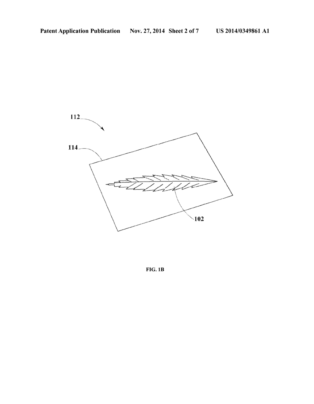 Method for Distinguishing Biological Material Products - diagram, schematic, and image 03