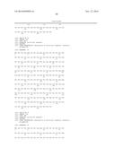 MULTIVALENT FIBRONECTIN BASED SCAFFOLD DOMAIN PROTEINS diagram and image