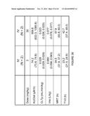 MULTIVALENT FIBRONECTIN BASED SCAFFOLD DOMAIN PROTEINS diagram and image