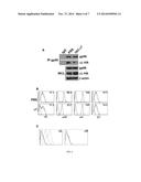 CHAPERONE-BASED INTEGRIN INHIBITORS FOR THE TREATMENT OF CANCER AND     INFLAMMATORY DISEASES diagram and image