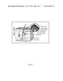 Compositions for Photodynamic Therapy Chemically Modified to Increase     Epithelia Penetration and Cellular Bioavailability diagram and image