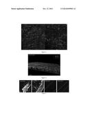 AQUEOUS SOLUTION COMPRISING A MACROMOLECULAR CONJUGATE OF HEPARIN FOR THE     TREATMENT OF BLOOD VESSELS diagram and image