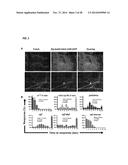 COMPOUNDS AND METHODS FOR TREATING PAIN diagram and image