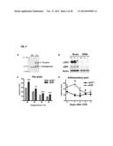 COMPOUNDS AND METHODS FOR TREATING PAIN diagram and image