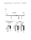 COMPOUNDS AND METHODS FOR TREATING PAIN diagram and image