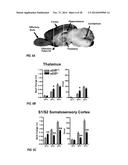 COMPOUNDS AND METHODS FOR TREATING PAIN diagram and image