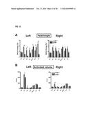 COMPOUNDS AND METHODS FOR TREATING PAIN diagram and image