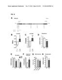 COMPOUNDS AND METHODS FOR TREATING PAIN diagram and image