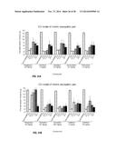 COMPOUNDS AND METHODS FOR TREATING PAIN diagram and image