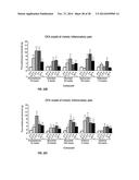 COMPOUNDS AND METHODS FOR TREATING PAIN diagram and image