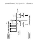 Efficacious treatment of NSCLC and predictive clinical marker of the     responsiveness of a tumour to a treatment diagram and image