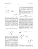 CHEMICAL COMPOUND USEFUL AS INTERMEDIATE FOR PREPARING A     CATECHOL-O-METHYLTRANSFERASE INHIBITOR diagram and image