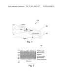 COMPOSITIONS AND THEIR USES FOR GENE THERAPY OF BONE CONDITIONS diagram and image