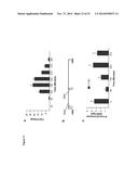 NOVEL REPRESSOR ON IFN-LAMBDA PROMOTER AND SIRNA AGAINST ZEB1 AND BLIMP-1     TO INCREASE IFN-LAMBDA GENE ACTIVITY diagram and image